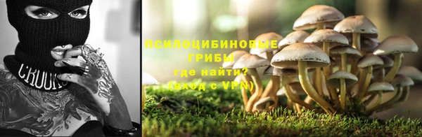 прущие крисы Медвежьегорск