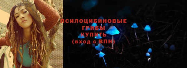 амф Мегион