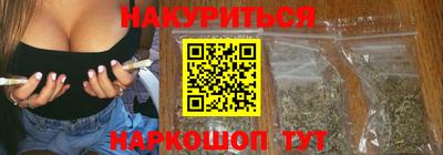 гидра Гатчина