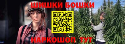 гидра Гатчина