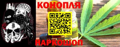гидра Гатчина
