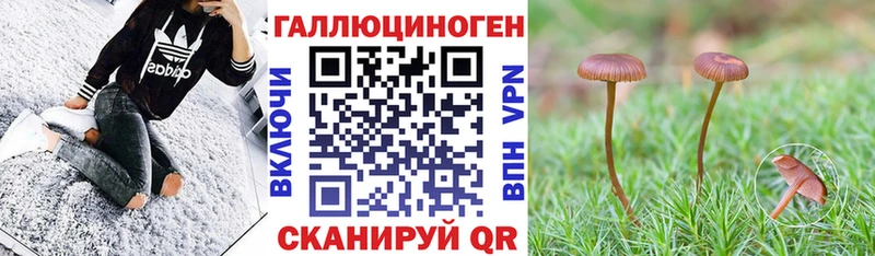 ссылка на мегу зеркало Джанкой Псилоцибиновые грибы Cubensis магазин