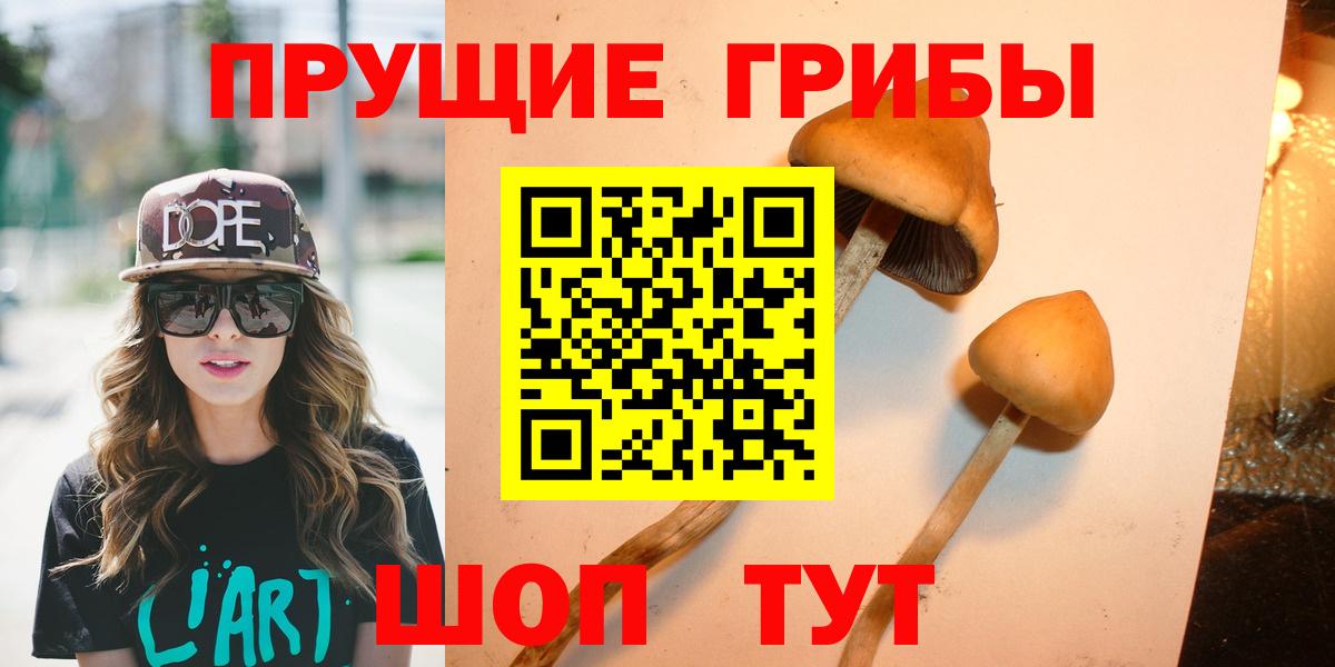 Галлюциногенные грибы Cubensis  Вход с VPN  Джанкой 